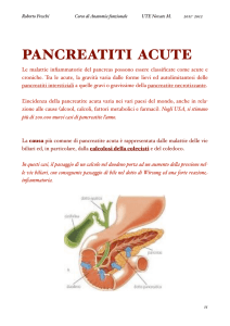 Pancreas- anatomia
