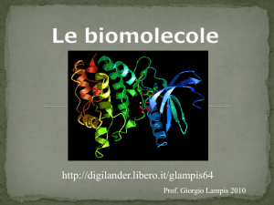 Unità 3 - Le biomolecole - Digilander