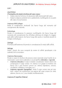 Anatomia del Corpo Umano 2