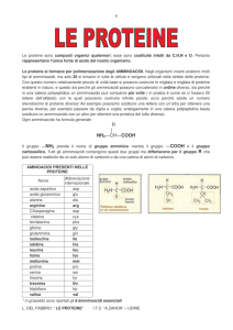 le proteine - e-Learning Zanon