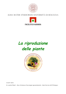 La riproduzione della piante