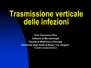 Trasmissione verticale delle infezioni