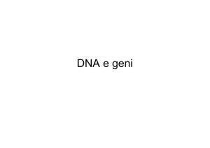 DNA e geni - Laura Damiani