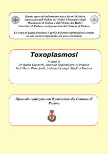 Toxoplasmosi - Ordine dei Medici Veterinari della Provincia di Padova