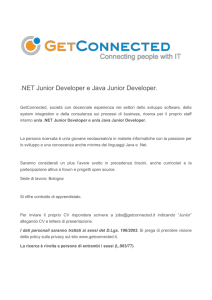 NET Junior Developer e Java Junior Developer