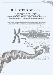 il mistero dei geni - Federazione Alzheimer Italia
