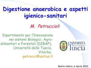 Maurizio Petruccioli - Digestione anaerobica e