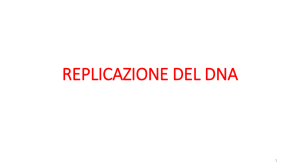 REPLICAZIONE DEL DNA