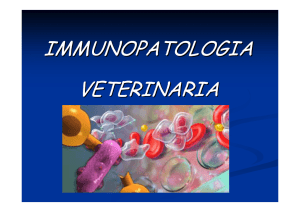 Immunopatologia (2) File - Progetto e