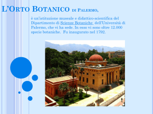 L`Orto Botanico di Palermo