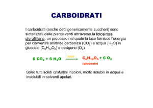 carboidrati - Didascienze.it