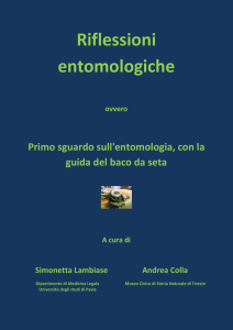 Riflessioni entomologiche - Università degli studi di Pavia