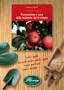 Prevenzione e cura delle malattie del frutteto