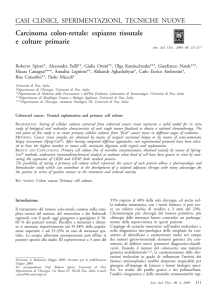 Carcinoma colon-rettale: espianto tissutale e colture primarie