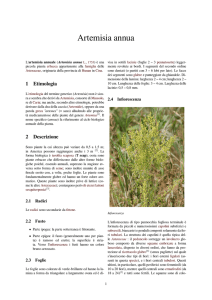 Artemisia annua - doc-developpement