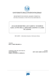 tesi dottorato XXIII ciclo Fabio Mirabella