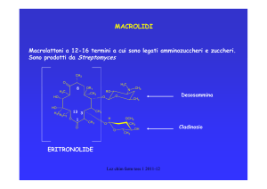 macrolidi e chetolidi