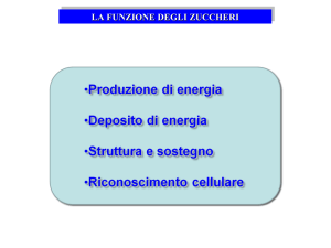 Diapositiva 1 - Pasquale CLARIZIO