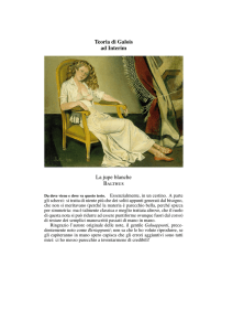 Teoria di Galois ad Interim La jupe blanche B