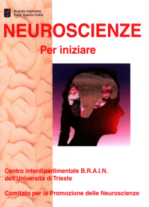 Mente e cervello