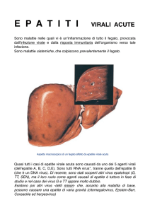 epatiti virali acute