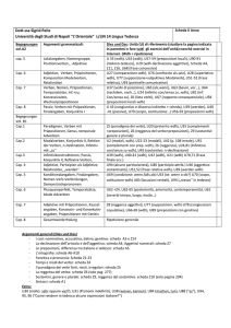 Begegnungen A2-B1, diesunddas