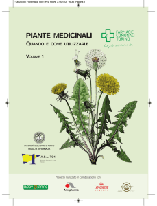 Piante medicinali - Quando e come utilizzarle