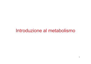 Introduzione al metabolismo