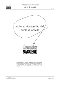 access - Domenico Saggese