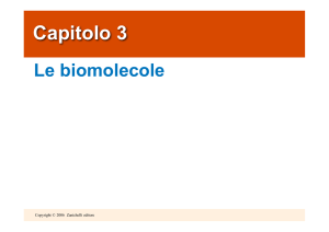 Capitolo 3