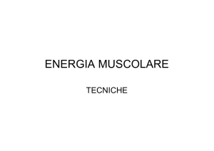 mitchell tecniche - Nuova Scuola di Osteopatia Treviso