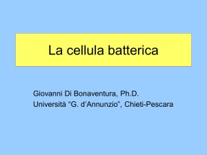 1a lezione cellula batterica - struttura - funzioni