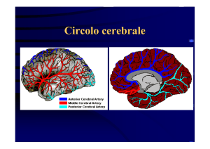 Ictus - Formazione In Emergenza Sanitaria