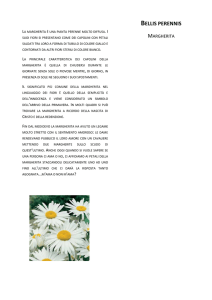 Schede fiori - Istituto Comprensivo Lari