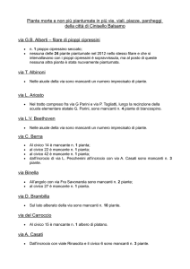 Piante morte e non più piantumate in più vie, viali, piazze, parcheggi