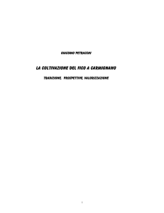 Pubblicazione in PDF - Pro loco Carmignano