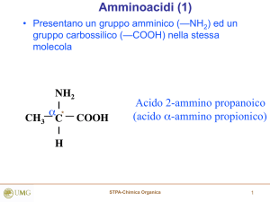 Amminoacidi (1)