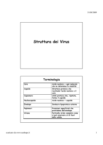 Struttura dei Virus