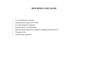 biochimica del rame - Appunti delle lezioni di CHIMICA del Prof
