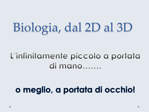 Microscopia 1 - CusTAG - Università degli studi di Genova