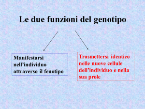 Le due funzioni del genotipo - risultati esame di genetica del corso
