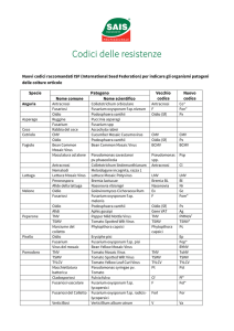 Codici delle resistenze