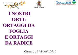 ortaggi da foglia e radice