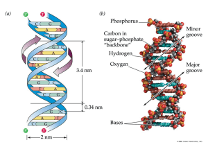MED-BIO 04-DNA-genoma