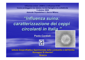 Influenza suina: caratterizzazione dei ceppi circolanti in Italia