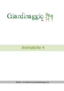 scarica subito il nostro ebook : Aromatiche 4