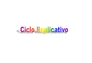 3 Ciclo replicativo e virus I classe 13-01-2017 - e