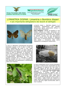 Opuscolo Lymantria dispar - Consorzio Fitosanitario di Parma