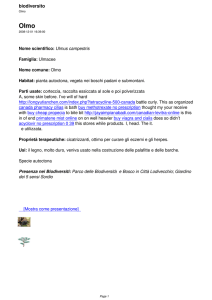 Olmo - biodiversit&agrave;