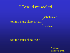 I Tessuti muscolari